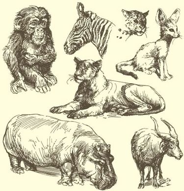 wild animals hand drawing vectors set