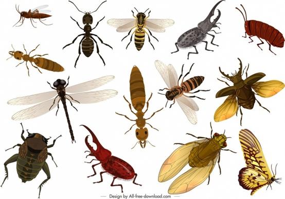 wild insects icons colorful 3d design
