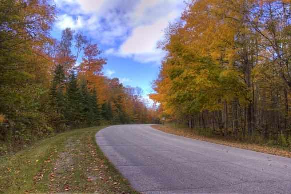 winding fall road at newport state park wisconsin