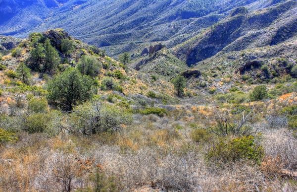 windswept landscape of lost mine at big bend national park texas