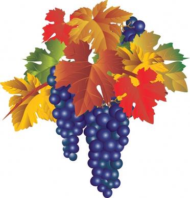 wine grapes icon shiny colorful modern design