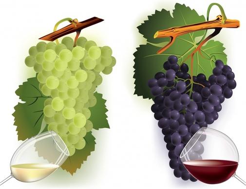 grapes wine icons modern colorful decor