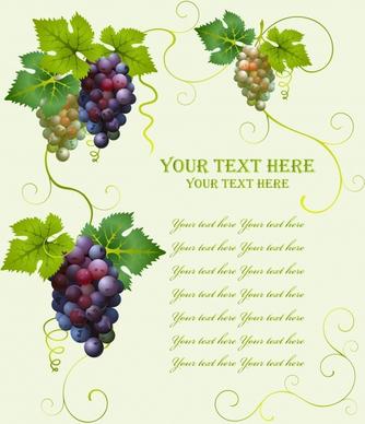 wine background grapes icons colorful design