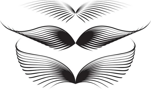 wing graphics vector