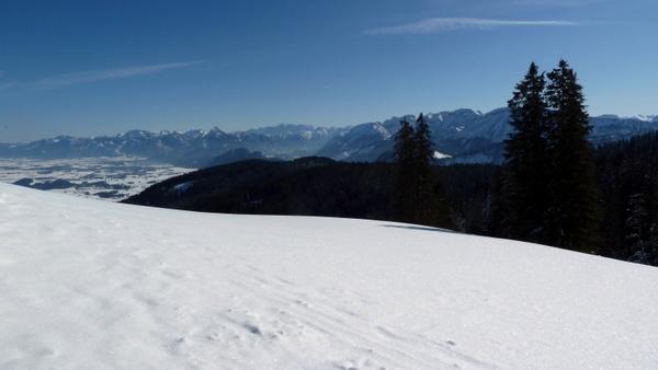 winter alpine pointed allg