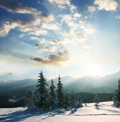 winter landscape highdefinition picture