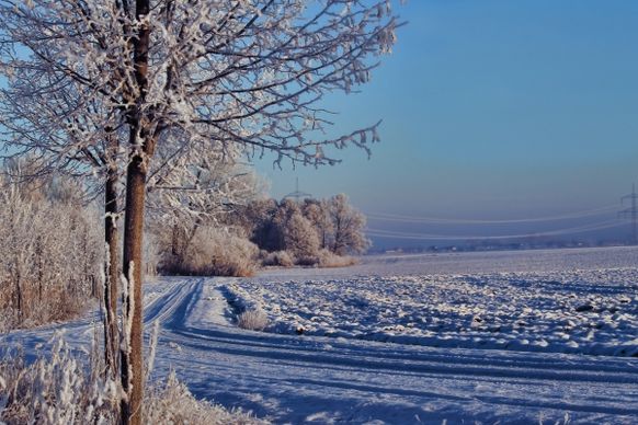 winter white snow covering in countryside