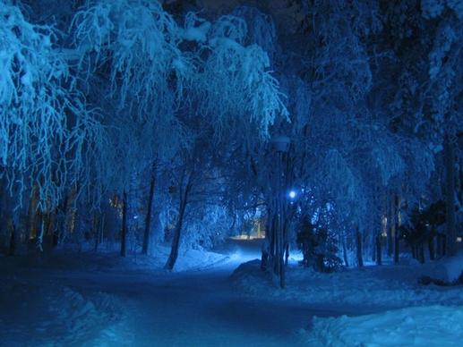 winter night blue