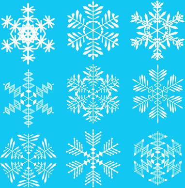 winter snowflakes pattern design vector graphics