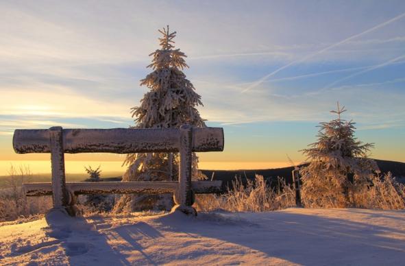 winter wooden bench