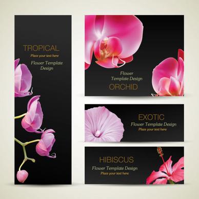 with flowers cards vector template