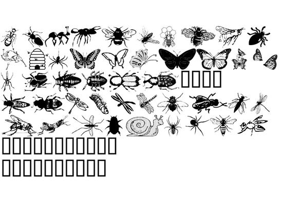 WM Insects