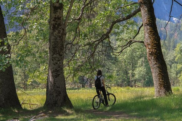 woman on bike in field by trees