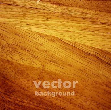 wood texture pattern background vector