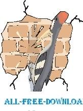 Woodpecker and Brick Wall