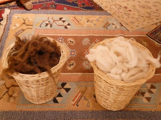 wool fibers wool carding
