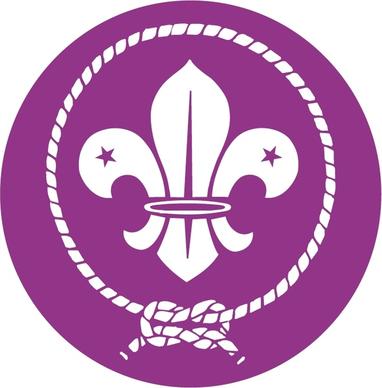 world scout movement