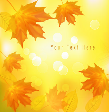 yellow autumn leaves vector backgrounds set