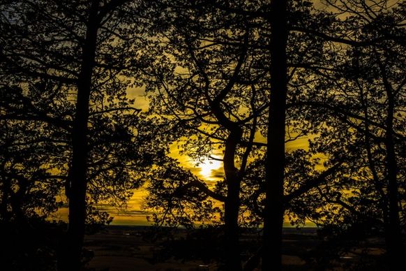 yellow dusk through the trees at gibraltar rock wisconsin free stock photo