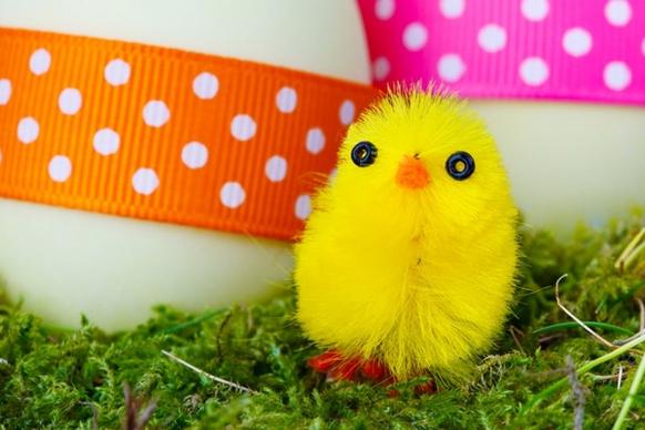 yellow easter chick