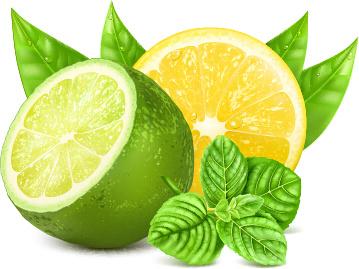 yellow lemon and green lemon vector