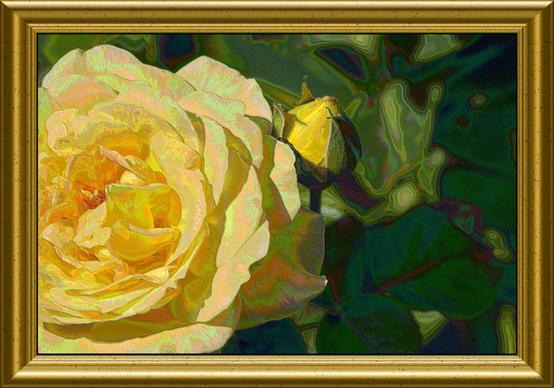 yellow rose dream