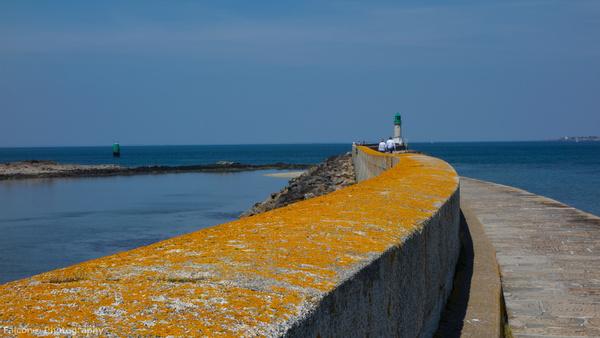 yellow sea wall