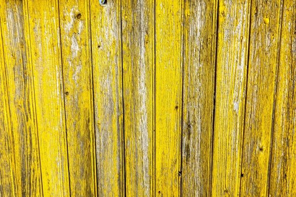 yellow wood fence