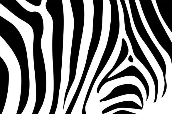 zebra background
