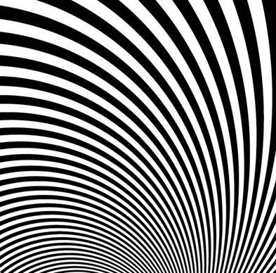 zebra stripes background vector