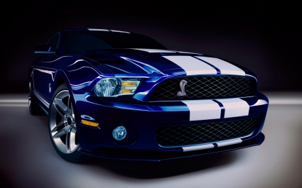 Picture of a ford shelby gt 500 #6