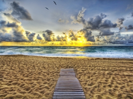 Ocean Sunset Wallpaper Beaches Nature
