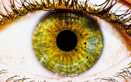 The Eye Wallpapers in jpg format for free download