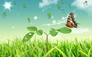 Download 3d Wallpaper Butterfly Wallpapers For Free Download About 3 412 Wallpapers