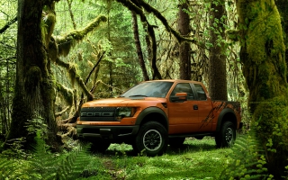 Ford Raptor Wallpaper Wallpapers For Free Download About 3 066 Wallpapers