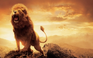 Featured image of post Lion Avec Couronne Wallpaper Tatouage lion avec d tails g om triques sur l avant bras