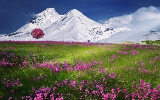 Snow Mountain Wallpapers For Free Download About 356 Wallpapers