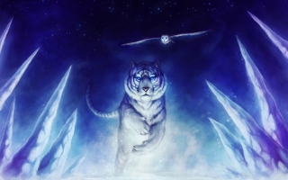 White Tiger Wallpaper Wallpapers For Free Download About 3 199 Wallpapers